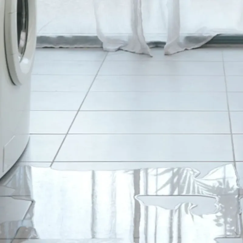 Appliance Leak Cleanup in Tolleson, AZ